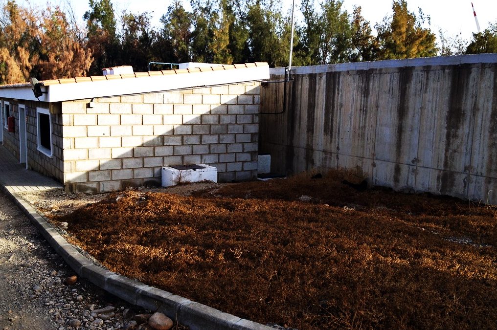 Instalación eléctrica de BT en depósito de agua y PCI. Aeropuerto de Gran Canaria, España