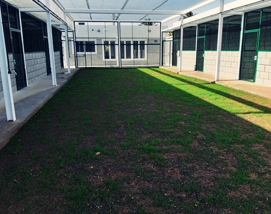 Nuevo edificio para control de fauna. Aeropuerto de Gran Canaria, España