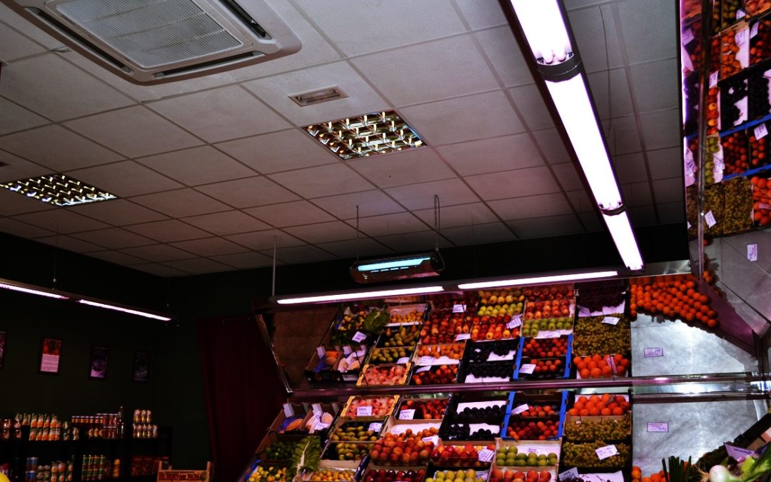 Proyecto de actividad frutería / charcutería. Avenida Pintor Felo Monzón, Las Palmas de Gran Canaria, Gran Canaria, España